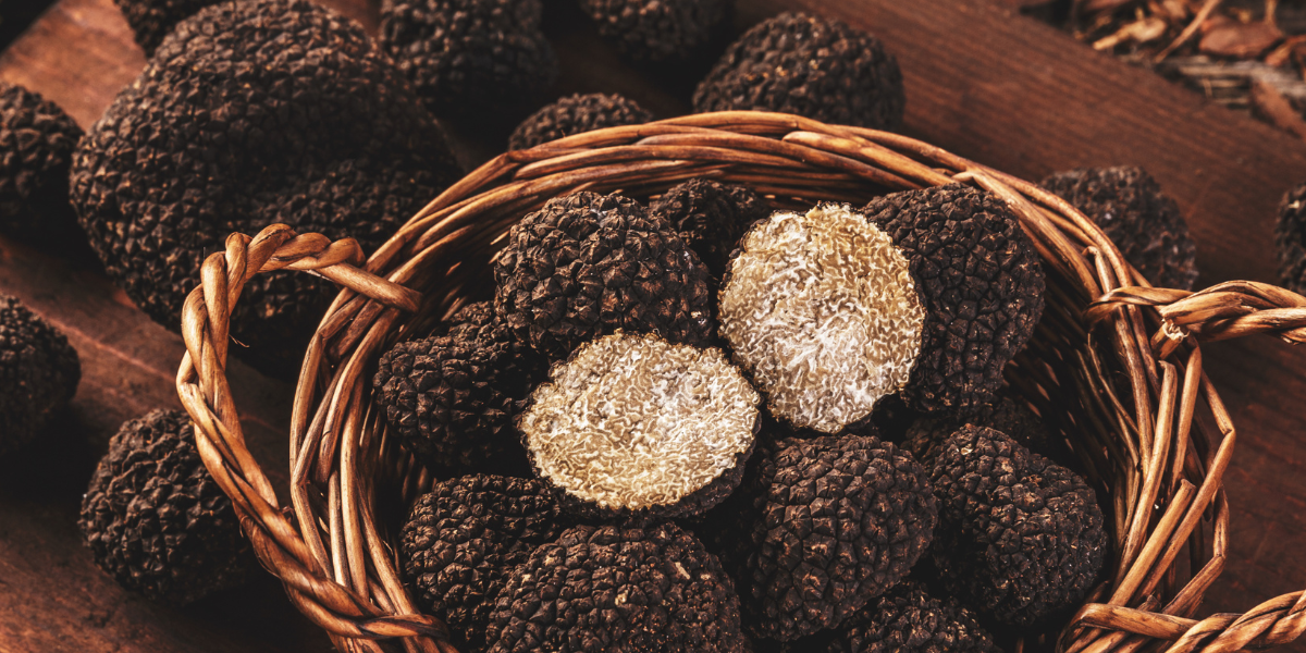 Truffes noires