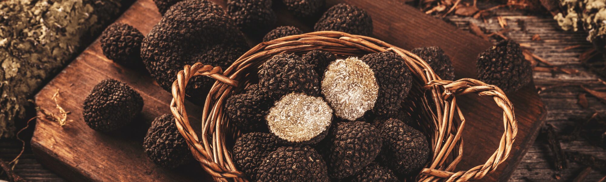 Truffes noires